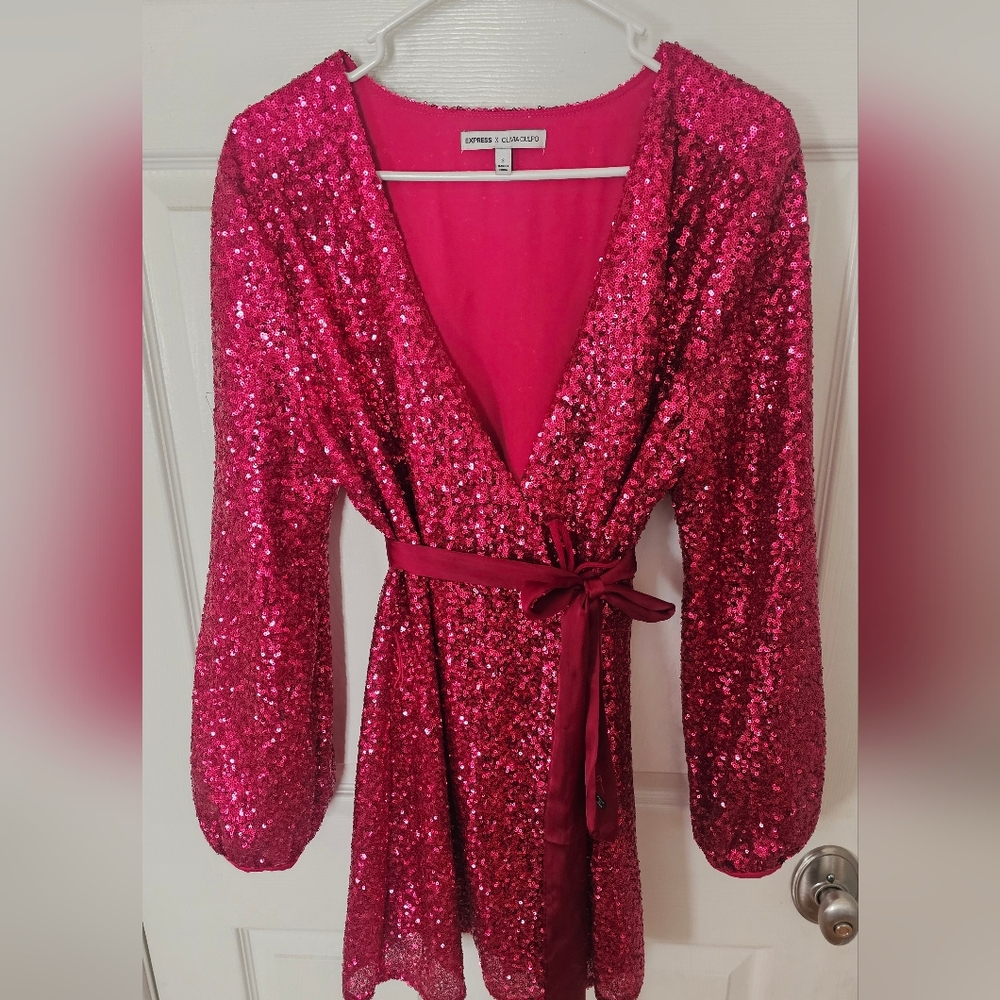 Express Fuchsia Sequin Long Sleeve Dress